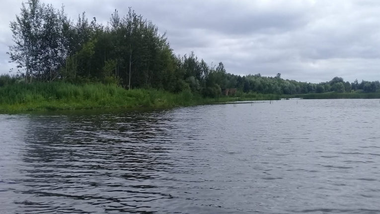 Русло реки Воронеж в Добровском районе стало чище