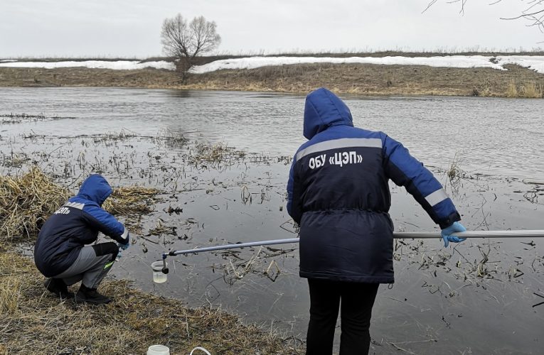 Экологи проводят обследование реки Дон по сообщениям жителям о гибели рыбы
