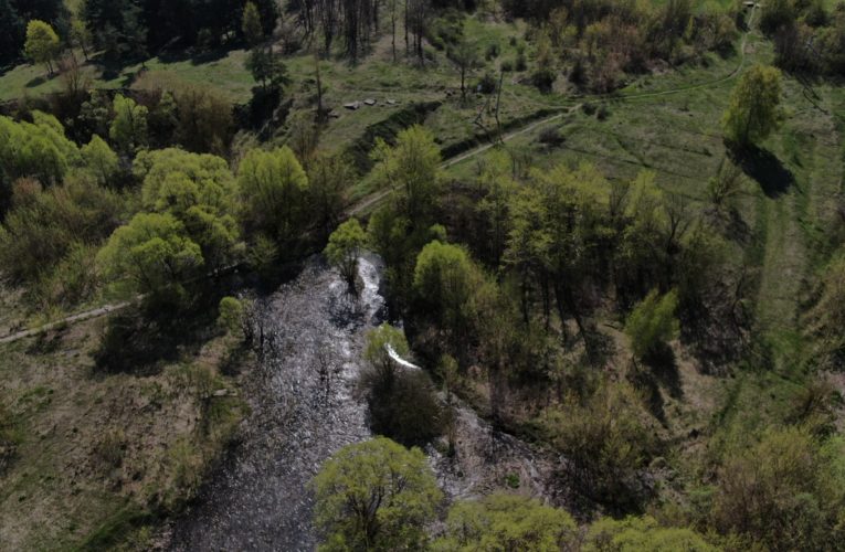 Экологи проводят обследование реки Липовки