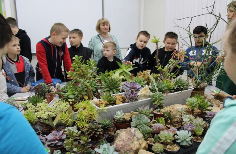 Первый детский ботанический сад появился в Липецке