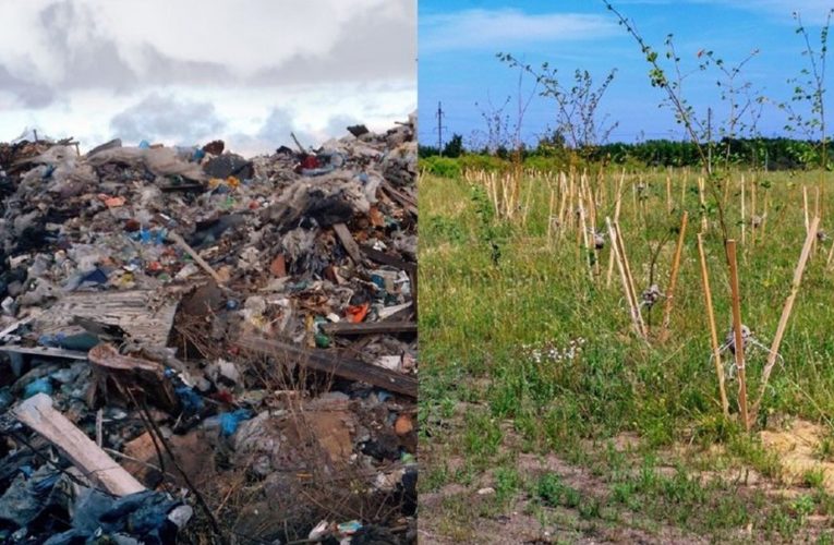Свалку в 2,5 млн тонн опасных отходов превратили в зеленые поля