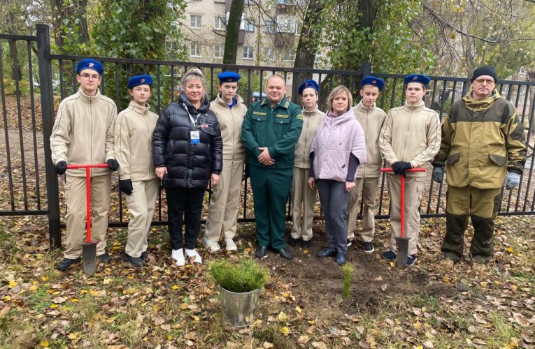 В память о героях СВО школы в Липецкой области высадят 2 тысячи деревьев