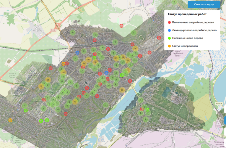 Интерактивную карту аварийных деревьев запустят в Липецке для заявок на опиловку