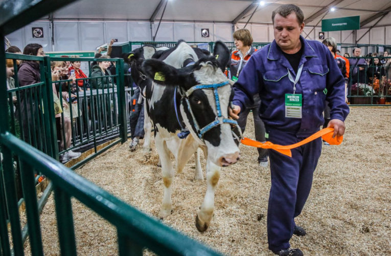В Липецкой области начнут второй этап строительства завода кормов для животных