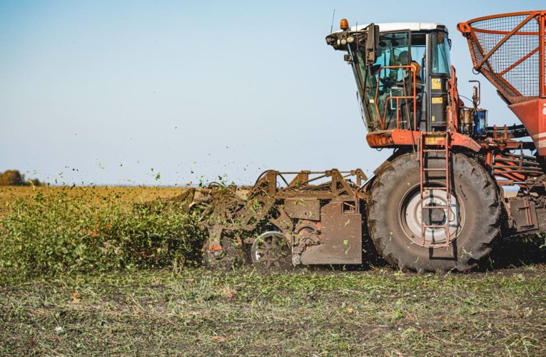 24 липецких фермера и 29 кооперативов получили 333 млн господдержки в 2023 году