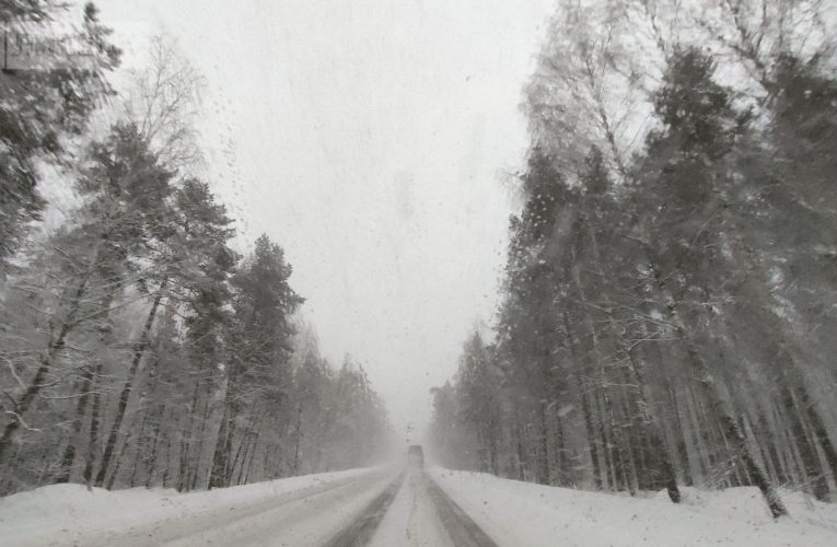 Об аномальных морозах до -23 градусов в Липецкой области предупреждает МЧС
