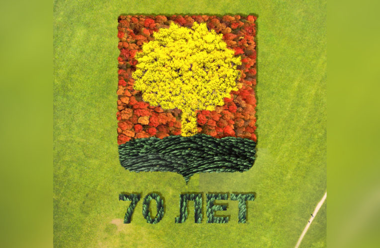 Геоглиф в виде герба Липецкой области из 53000 деревьев высадят у Капитанщино