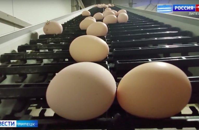 УФАС: в Липецкой области самые низкие цены на куриные яйца в ЦФО