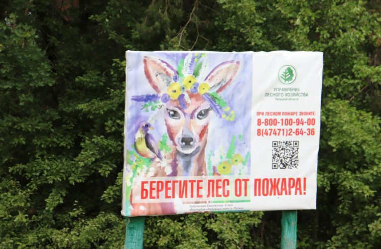 Запрет на въезд в леса Липецкой области вводят 1 июня