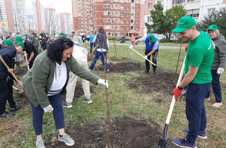 НЛМК и фонд «Милосердие» подарят Липецку более 2500 деревьев и кустарников