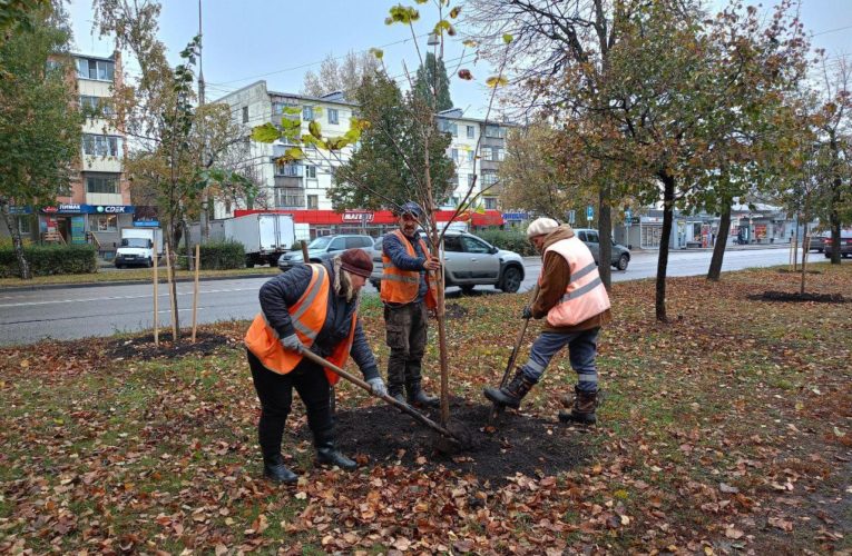 70 молодых катальп высадили на Терешковой и Ленина в Липецке